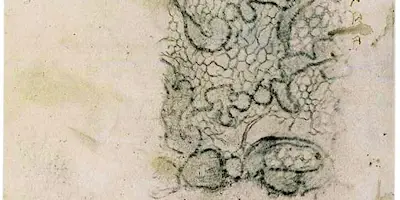 Empreinte et dentelle