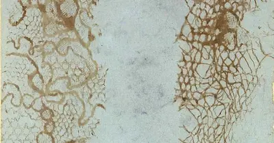 Empreintes de dentelle