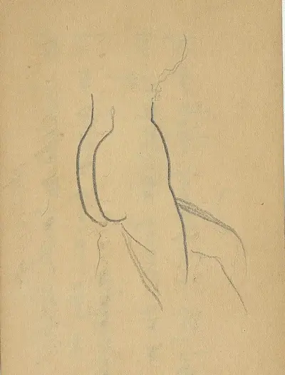 Etude de nu carnet de voyage 1863 n.a.f. 13458 f 30v